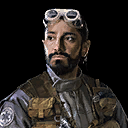 Bodhi Rook
